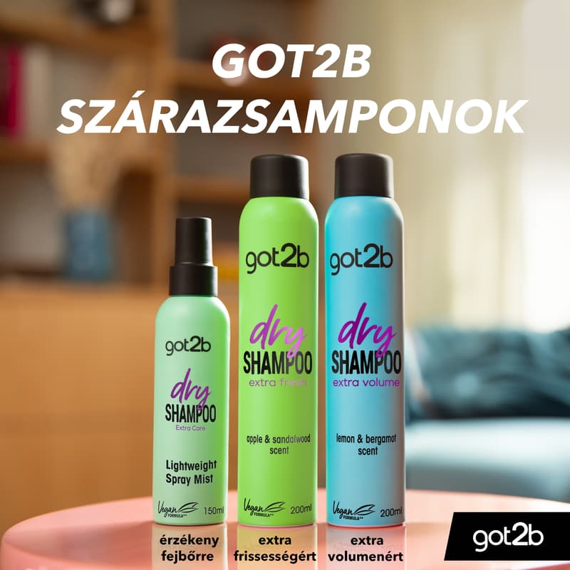 Got2b Lightweight Dry Shampoo Spray