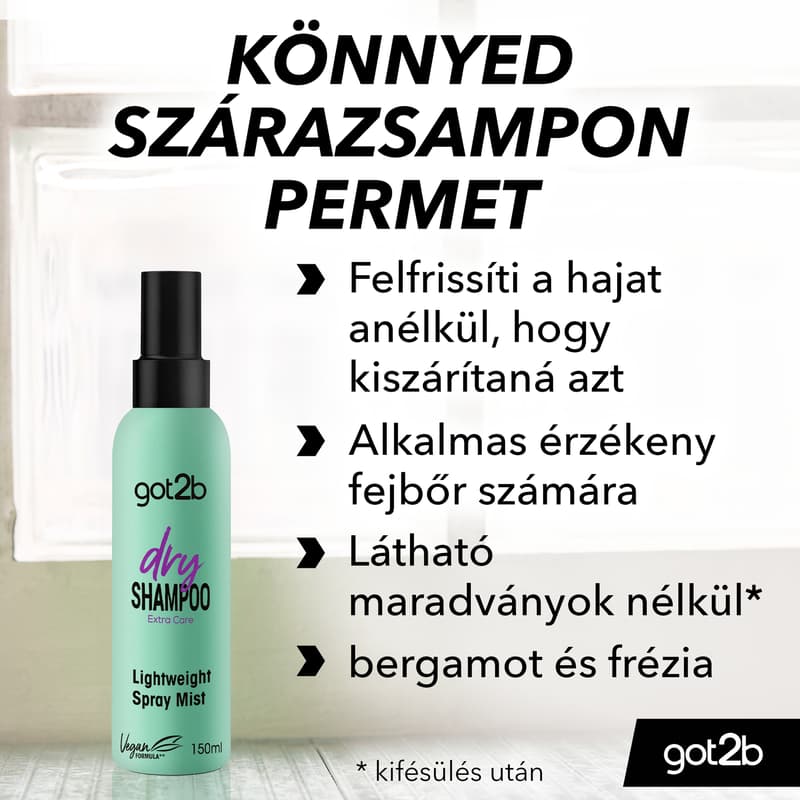 Got2b Lightweight Dry Shampoo Spray