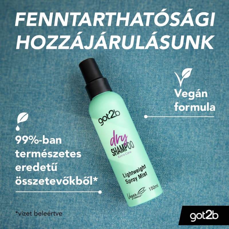 Got2b Lightweight Dry Shampoo Spray