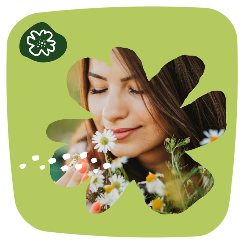 Naturella Liners Normal Chamomile 20CT