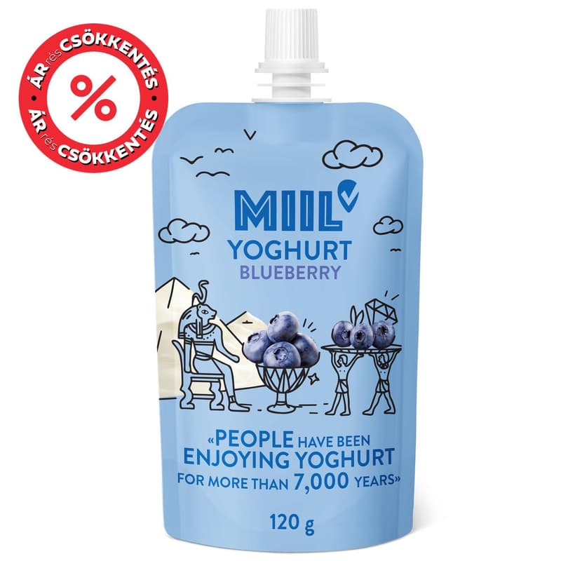 MIIL Yogurt blueberry 120g pouch