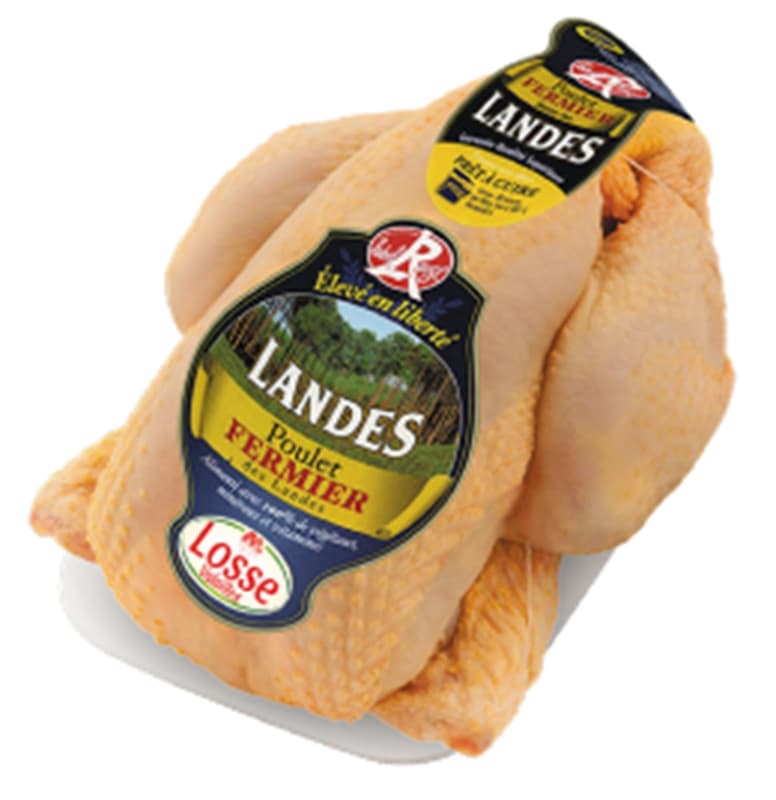 Yellow free-range label rouge chicken Les Landes