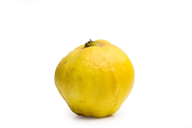 Quince, loose