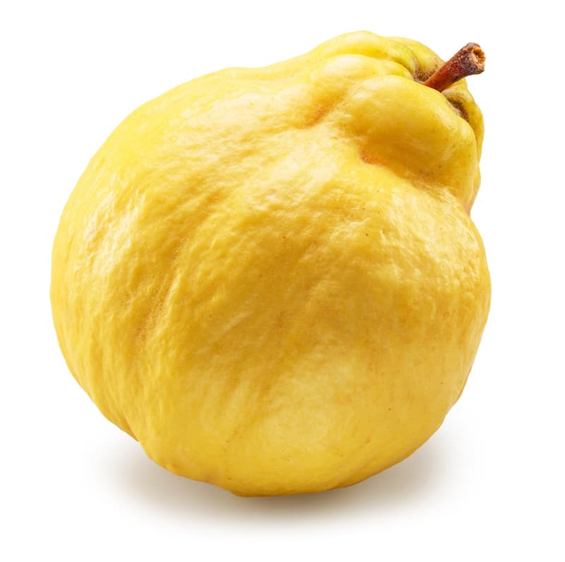 Quince, loose