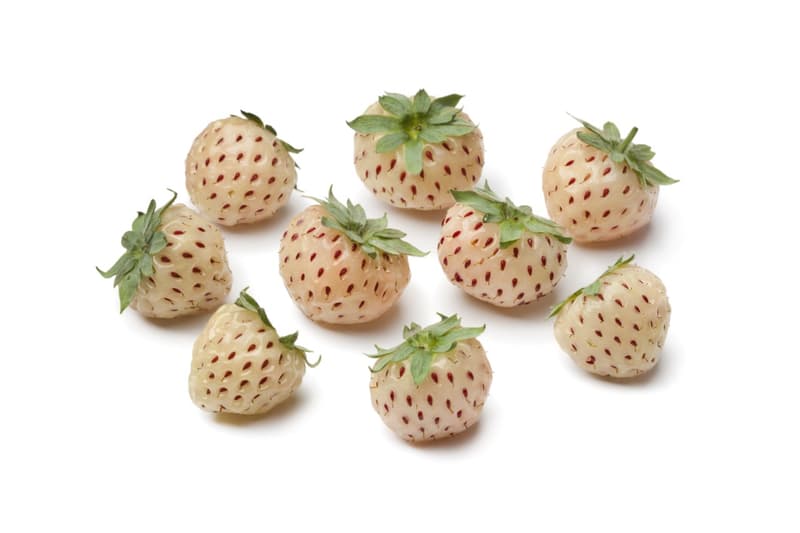 Eat Me Pineberry, csomagolt