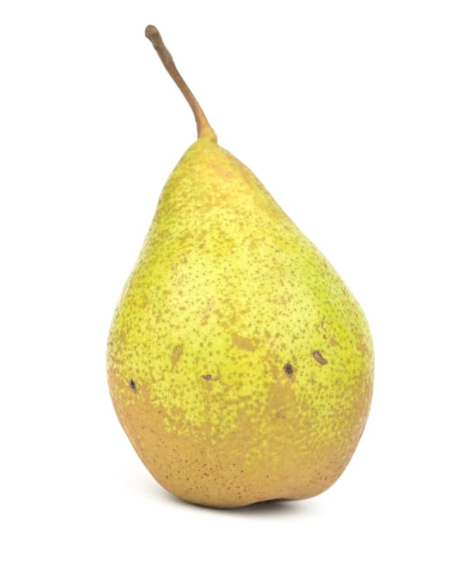 Xenia pear, loose