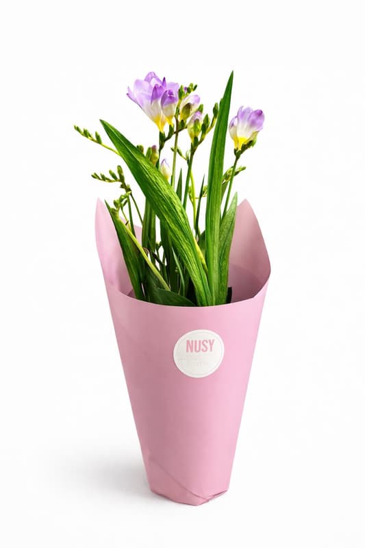 Nusy Flower Cserepes Frézia, vegyes színekben