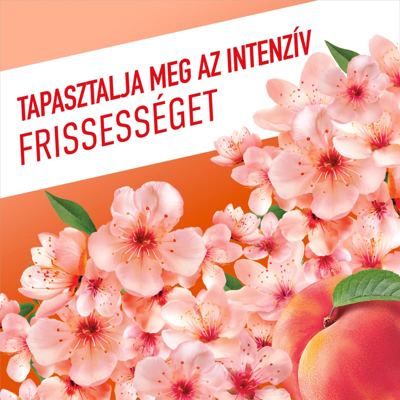 Ajax Floral Fiesta Peach Blossom general cleaner
