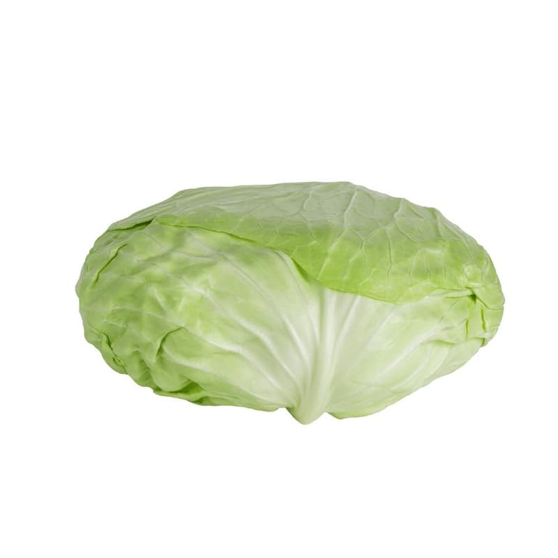flat cabbage