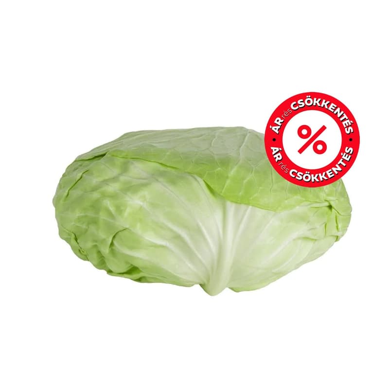 flat cabbage
