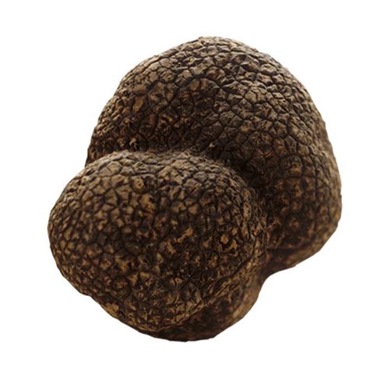summer truffle