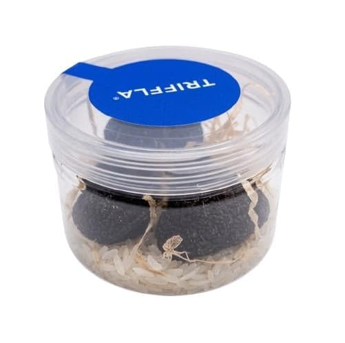 summer truffle
