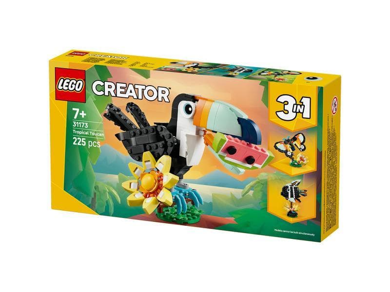 WILD ANIMALS: TROPICAL TOUCAN