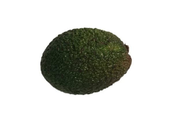 Avocado green, requires maturation
