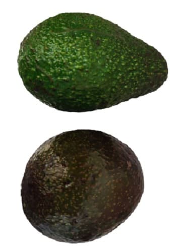 Avocado green, requires maturation