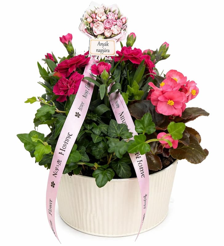 Nusy Flower Outdoor Plant Arrangement