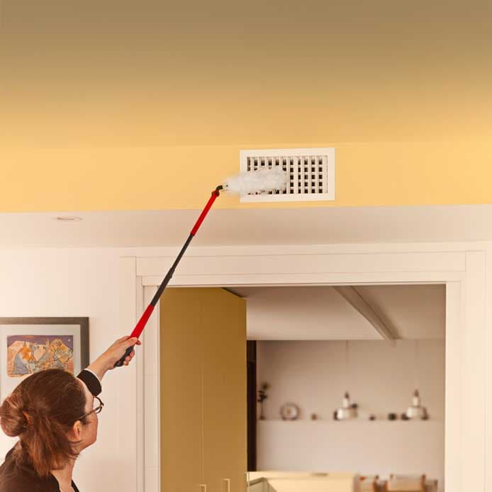 Vileda Flex&Catch long handle duster kit