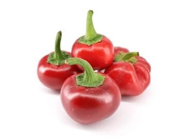 Cseresznyepaprika, csomagolt
