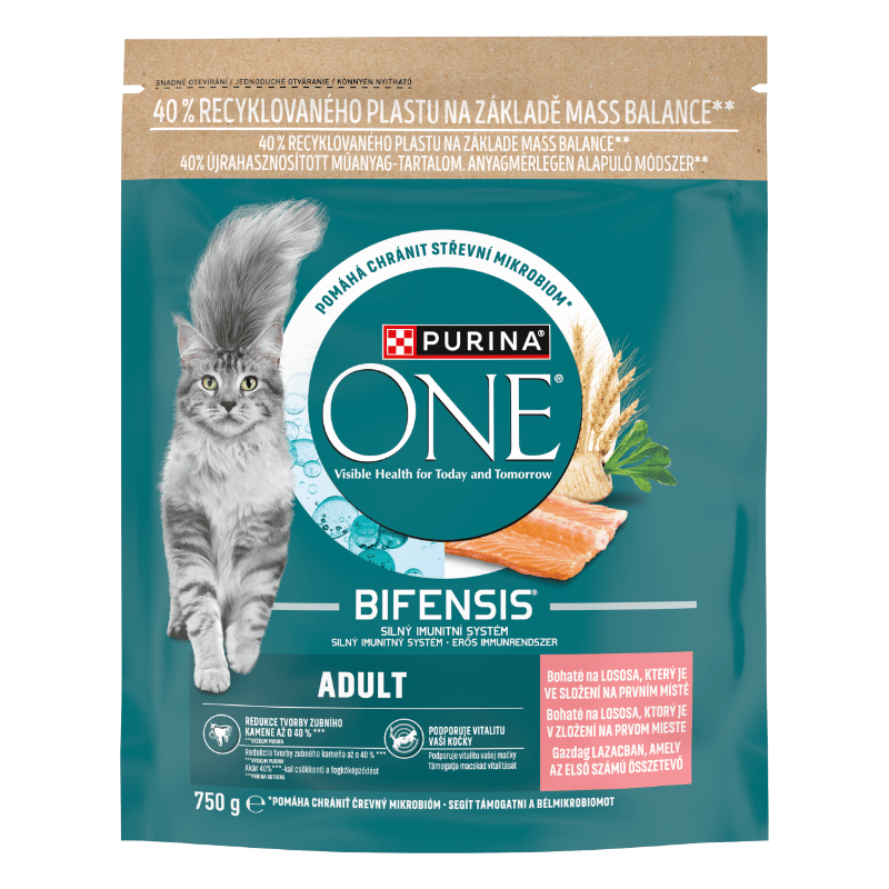 PURINA ONE with Salmon Dry Cat Food 750 g