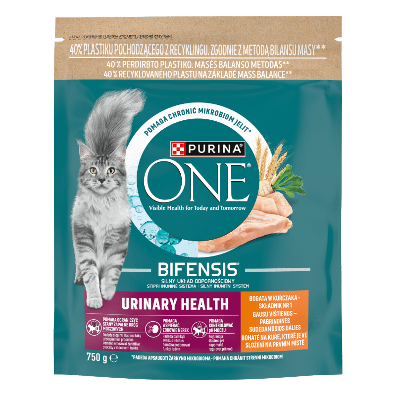 PURINA ONE URINARY HEALTH Dry Cat Food Rich in Chicken 750 g