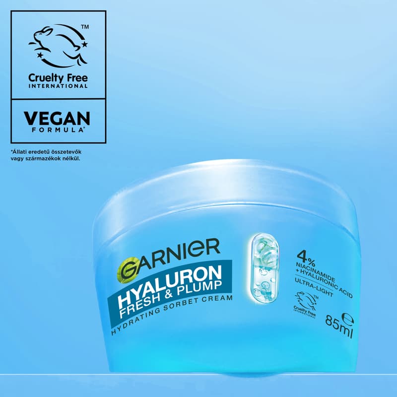 Garnier Hyaluron Sorbet Cream Fresh & Plump