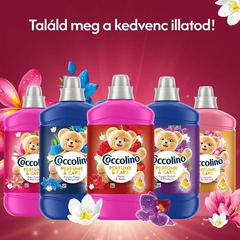 Coccolino Perfume & Care Peony & Apple öblítő, 70 mosás, 1610 ml