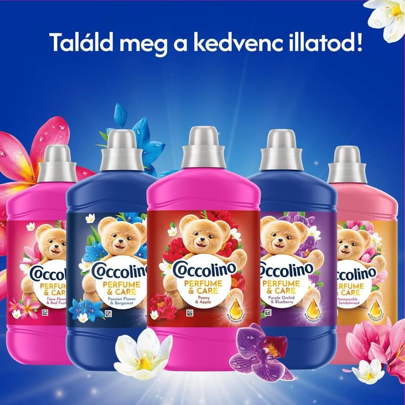 Coccolino Perfume & Care Passion Flower & Bergamot öblítő, 70 mosás, 1610 ml
