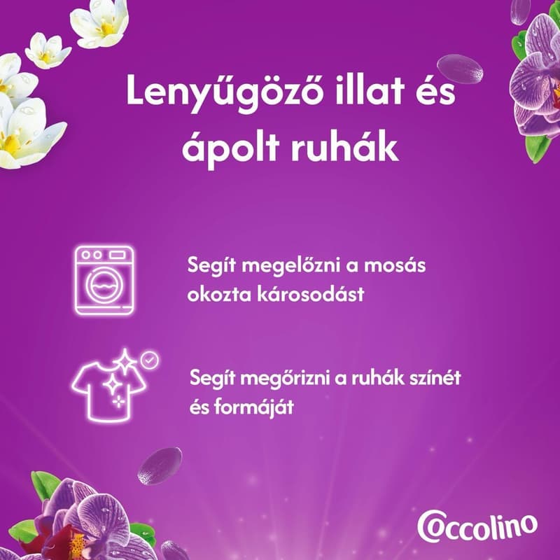 Coccolino Perfume & Care Purple Orchid & Blueberry öblítő, 70 mosás, 1610 ml