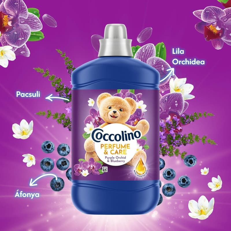 Coccolino Perfume & Care Purple Orchid & Blueberry öblítő, 70 mosás, 1610 ml