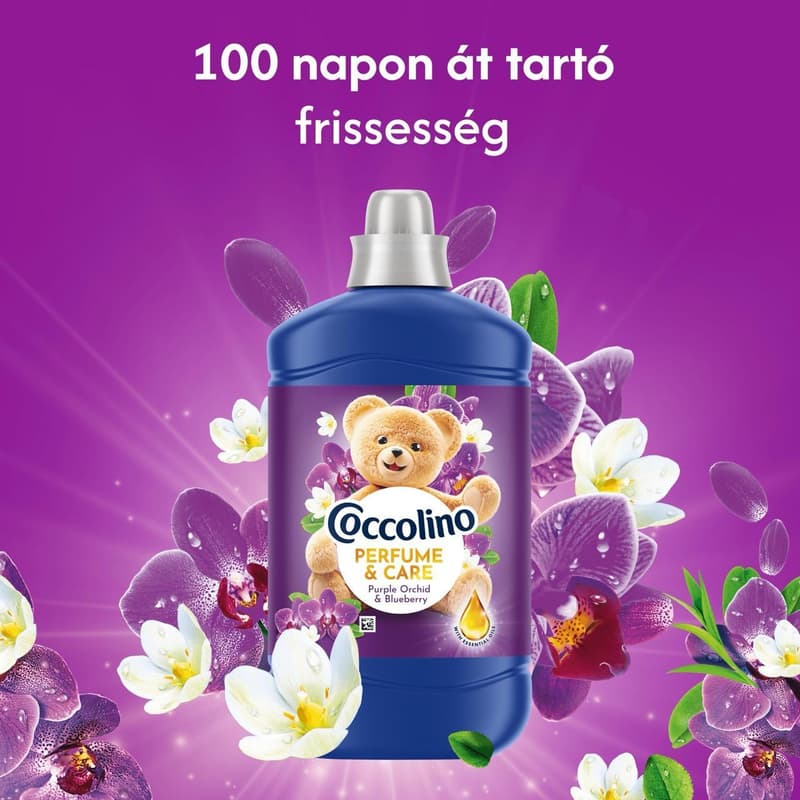 Coccolino Perfume & Care Purple Orchid & Blueberry öblítő, 70 mosás, 1610 ml