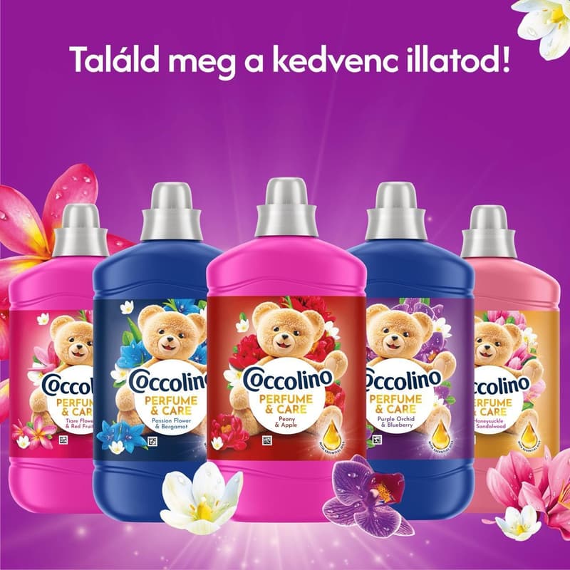 Coccolino Perfume & Care Purple Orchid & Blueberry öblítő, 70 mosás, 1610 ml