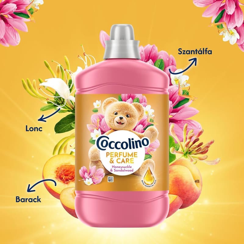 Coccolino Perfume & Care Honeysuckle & Sandalwood öblítő, 70 mosás, 1610 ml