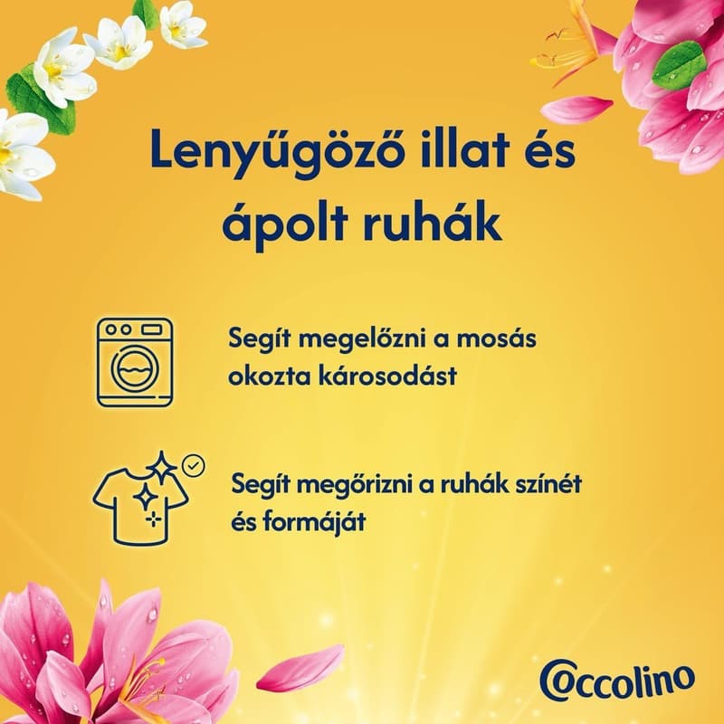 Coccolino Perfume & Care Honeysuckle & Sandalwood öblítő, 70 mosás, 1610 ml