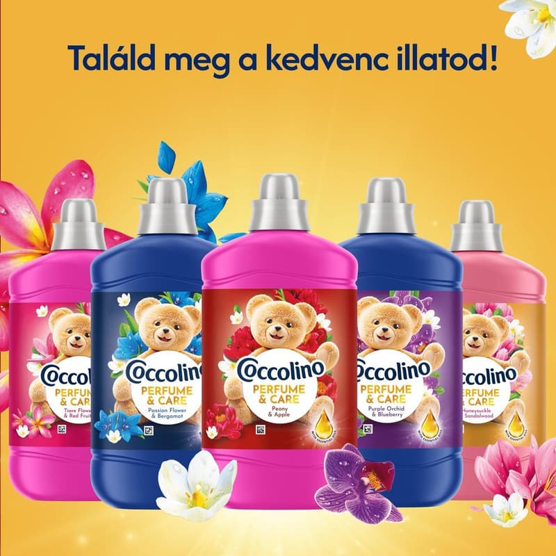 Coccolino Perfume & Care Honeysuckle & Sandalwood öblítő, 70 mosás, 1610 ml