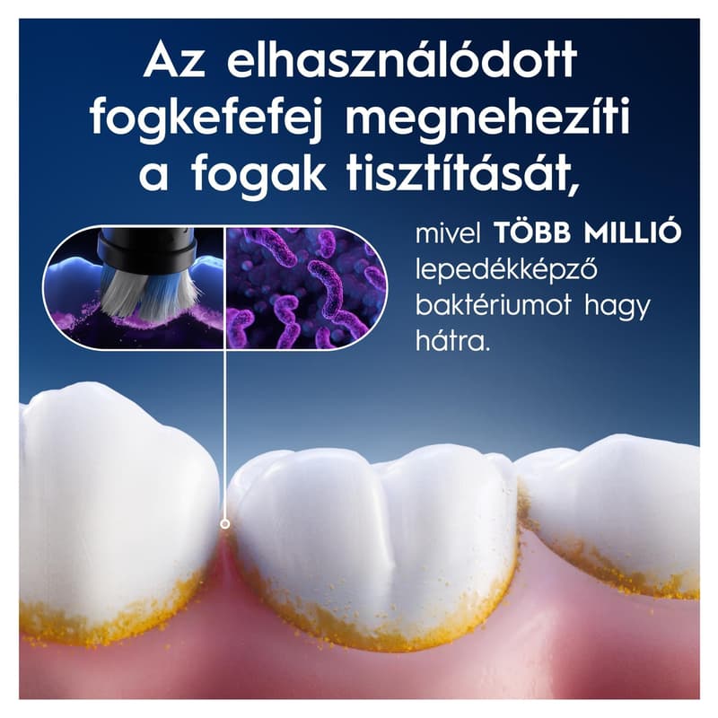 iO RB WB-4 CEUAIL Box Brush Set