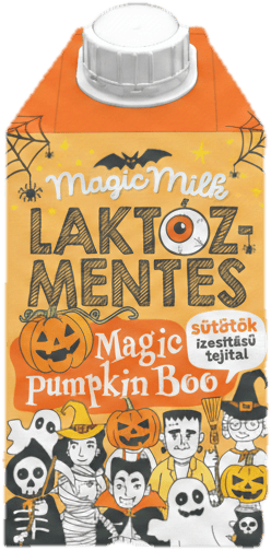 Magic Milk Laktózmentes UHT ízesített tej sütőtök