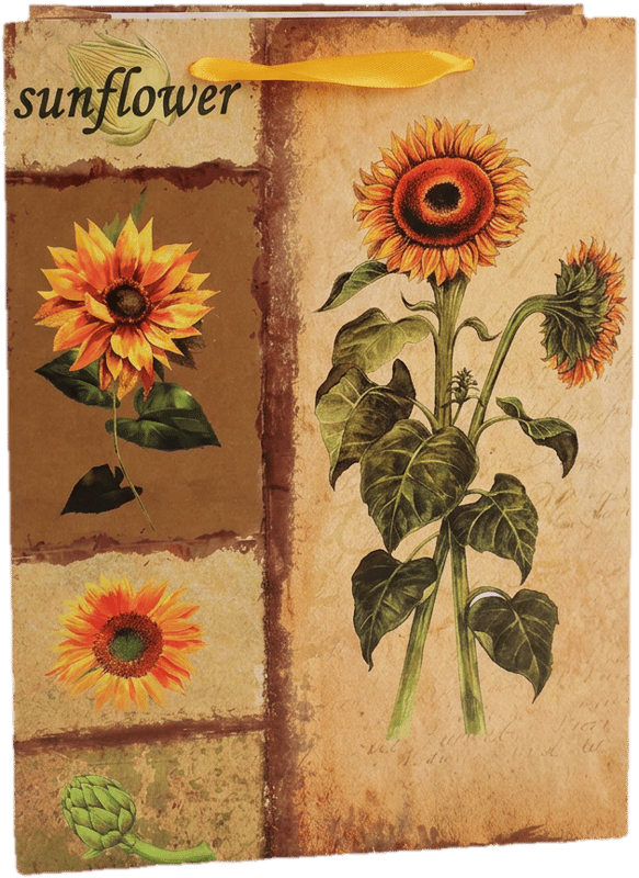 paper bag 26x32