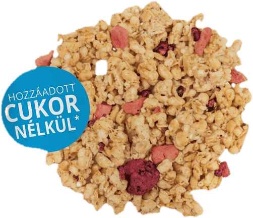 Crispy muesli with red berries
