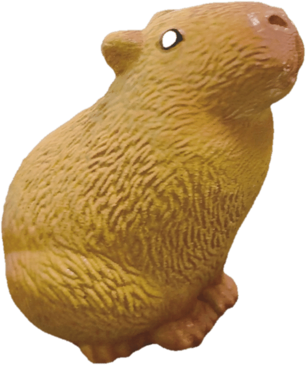 Növekvő kapibara, 4 féle