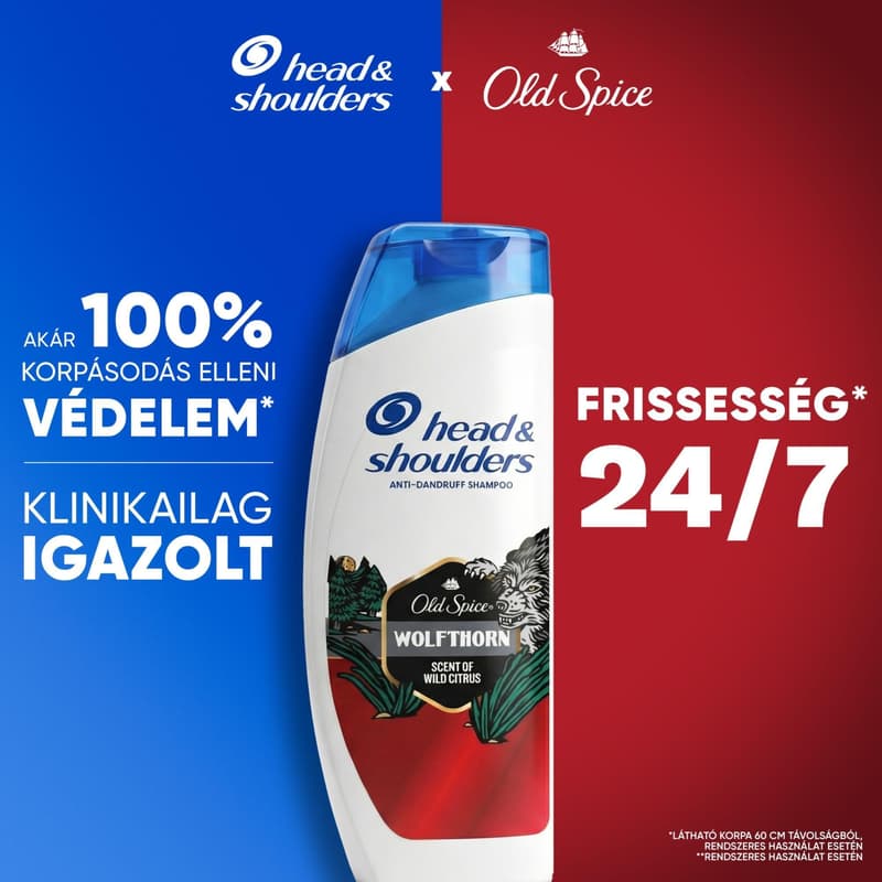 H&S SH Core+ 400ML Wolfthorn