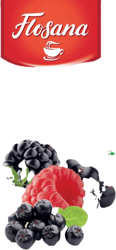 Flosana Flavoured fruit and herbal infusion - forest fruit 20 x 2g