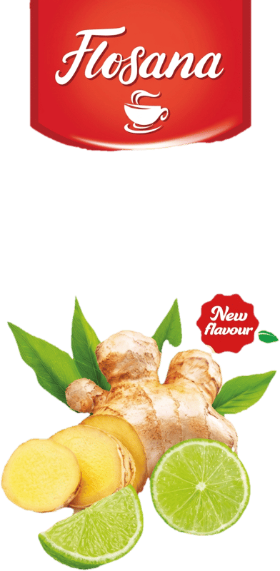 Flosana Flavoured fruit and herbal infusion - ginger & Lime 20 x 2 g