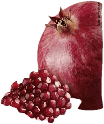 Pomegranate seeds (frozen) 300g