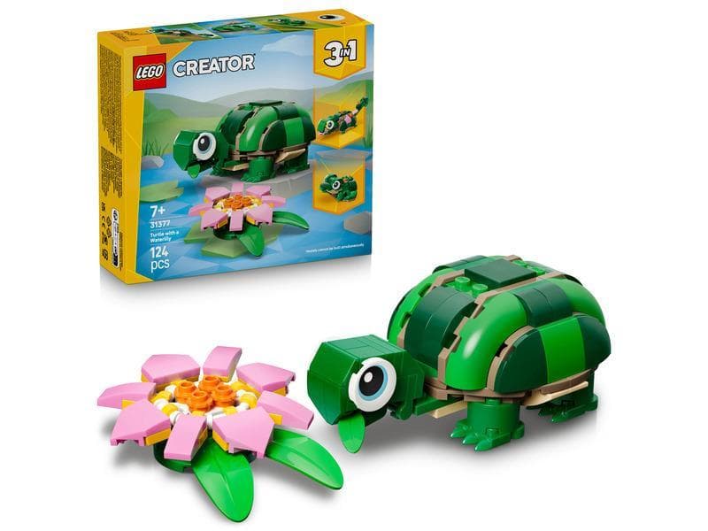 Turtle with a water lily flower