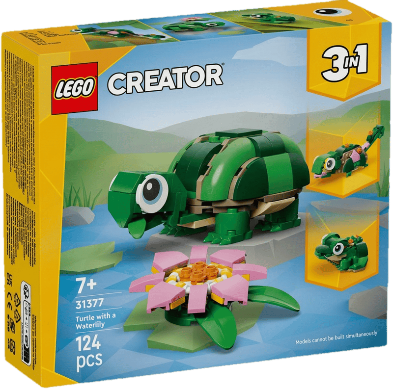 Turtle with a water lily flower