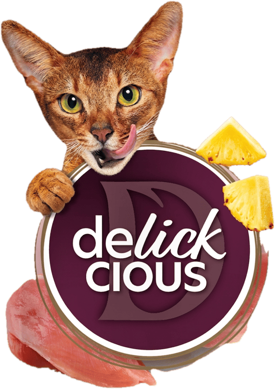 DELICKCIOUS™ Creamy Treats Chicken - Pineapple Flavor 4x15g