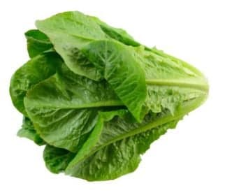 Roman salad