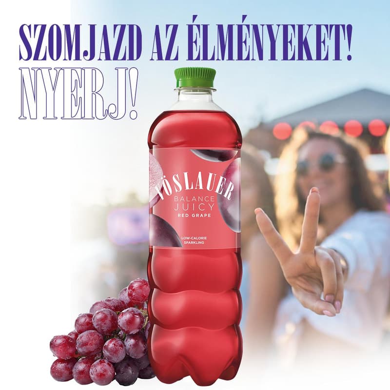 Vöslauer Balance Red grapes