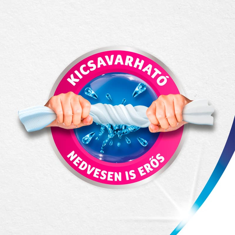 Zewa Wisch & Weg Sparblatt 2-ply paper towel