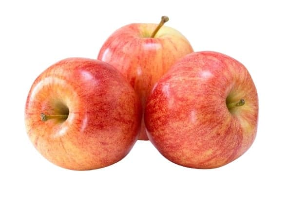 Royal Gala Apple, loose
